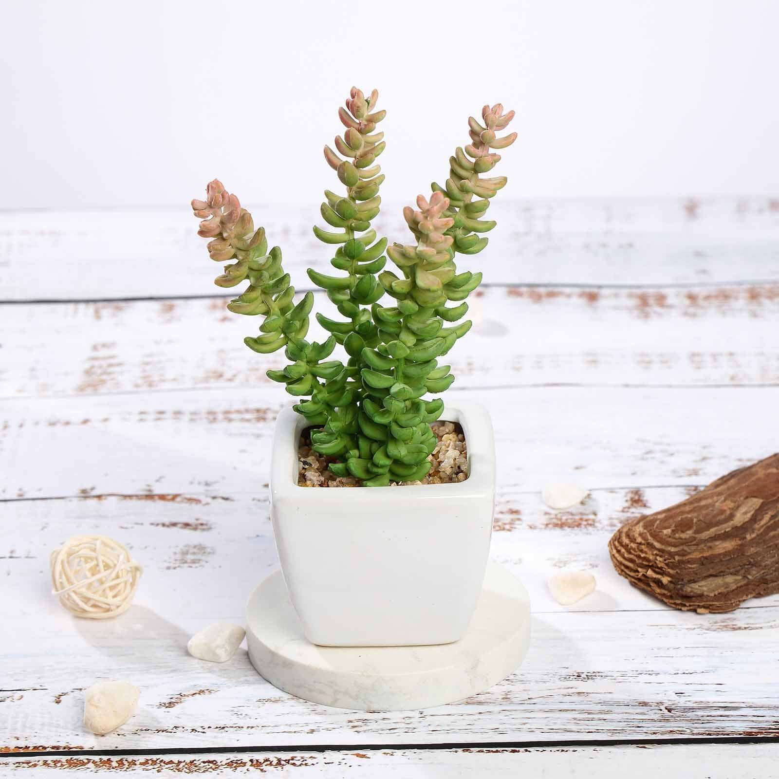 3-Piece Set of Lifelike Sedum Artificial Succulents in Ceramic Pots for Home, Office & Events