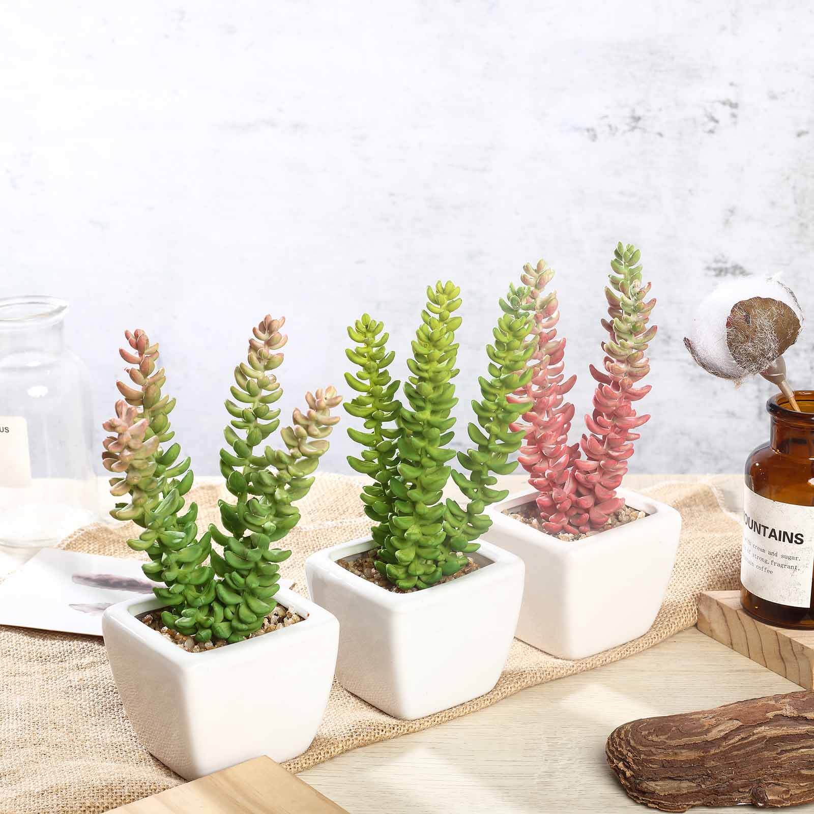 3-Piece Set of Lifelike Sedum Artificial Succulents in Ceramic Pots for Home, Office & Events