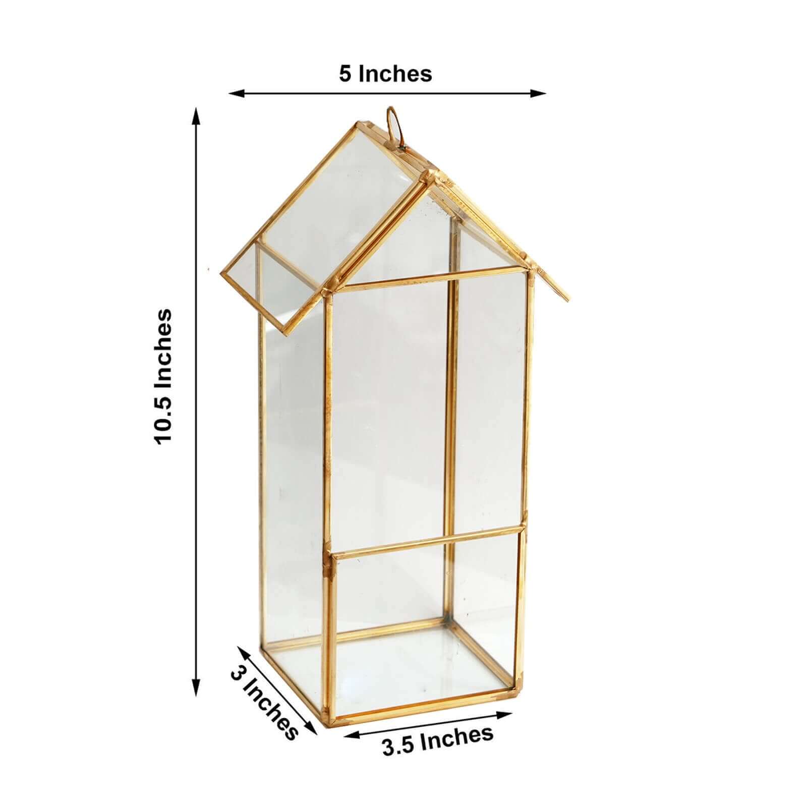 Versatile Gold Metal Frame Glass Hanging Terrarium for Air Plants and Displays