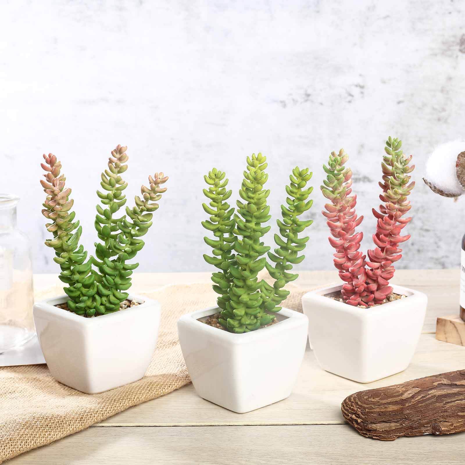 3-Piece Set of Lifelike Sedum Artificial Succulents in Ceramic Pots for Home, Office & Events