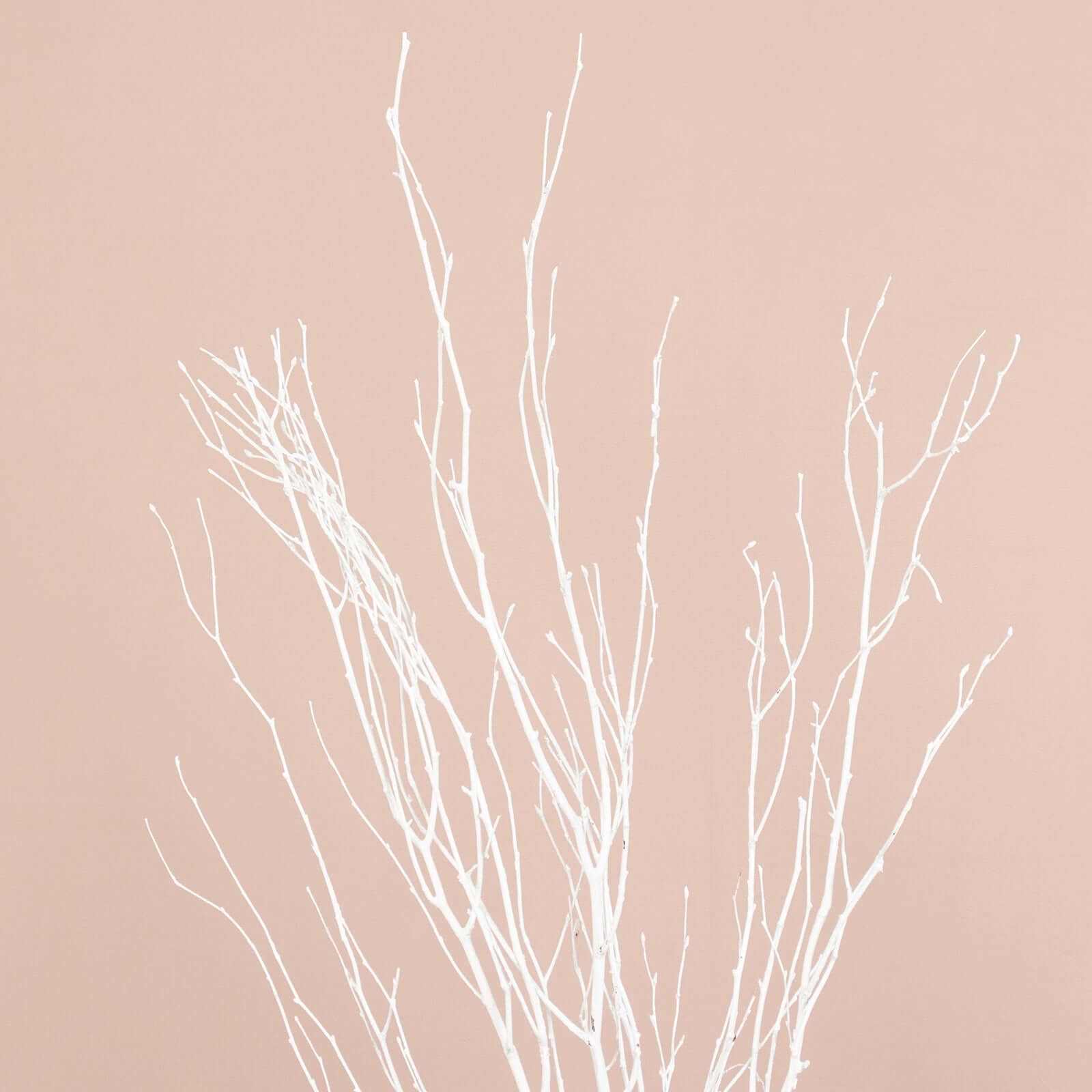 6-Pack 46" White Natural Birch Branches - Ideal for Wedding & Home Decor