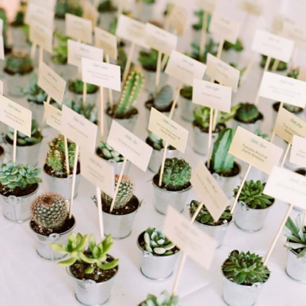 3-Piece Set of Lifelike Sedum Artificial Succulents in Ceramic Pots for Home, Office & Events