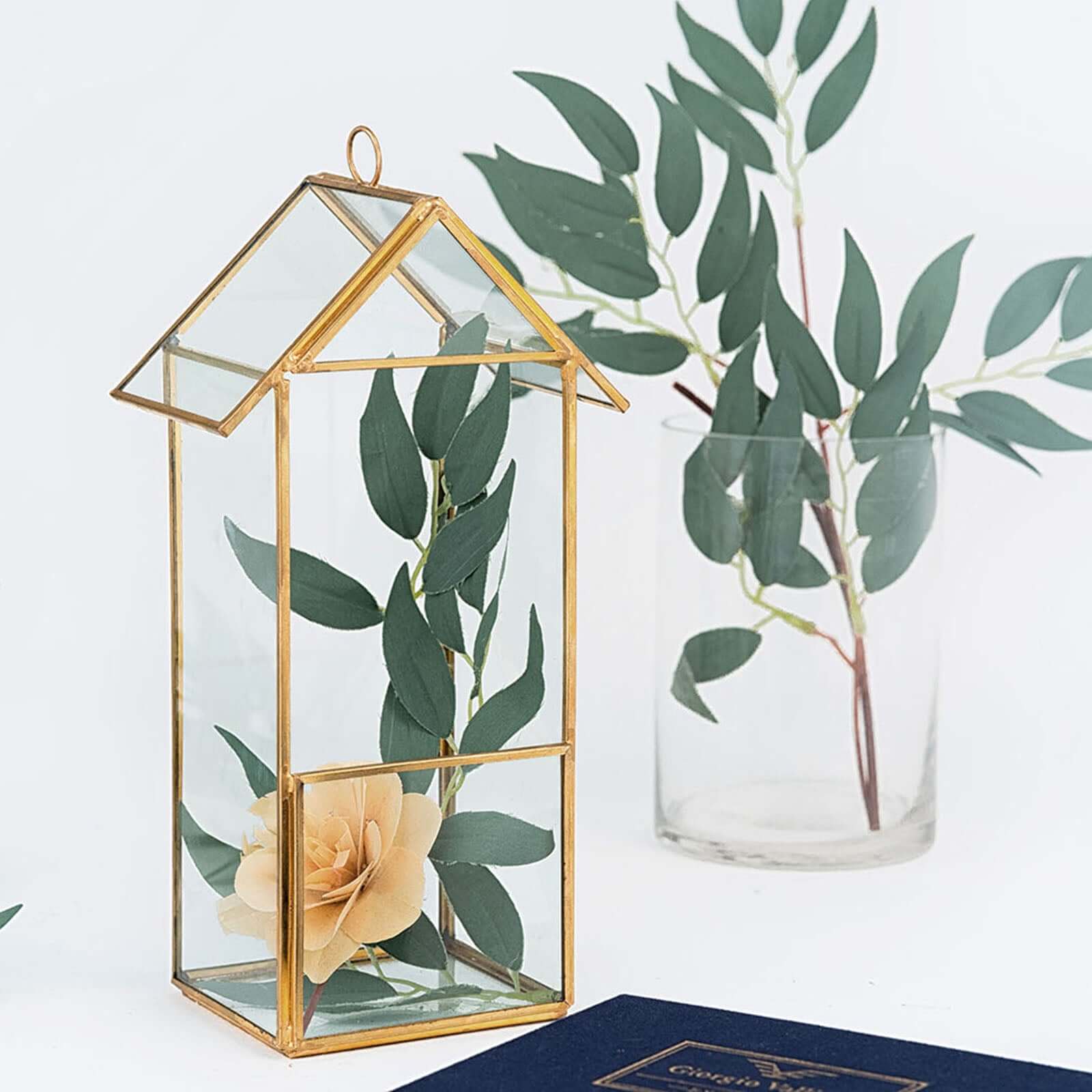 Versatile Gold Metal Frame Glass Hanging Terrarium for Air Plants and Displays