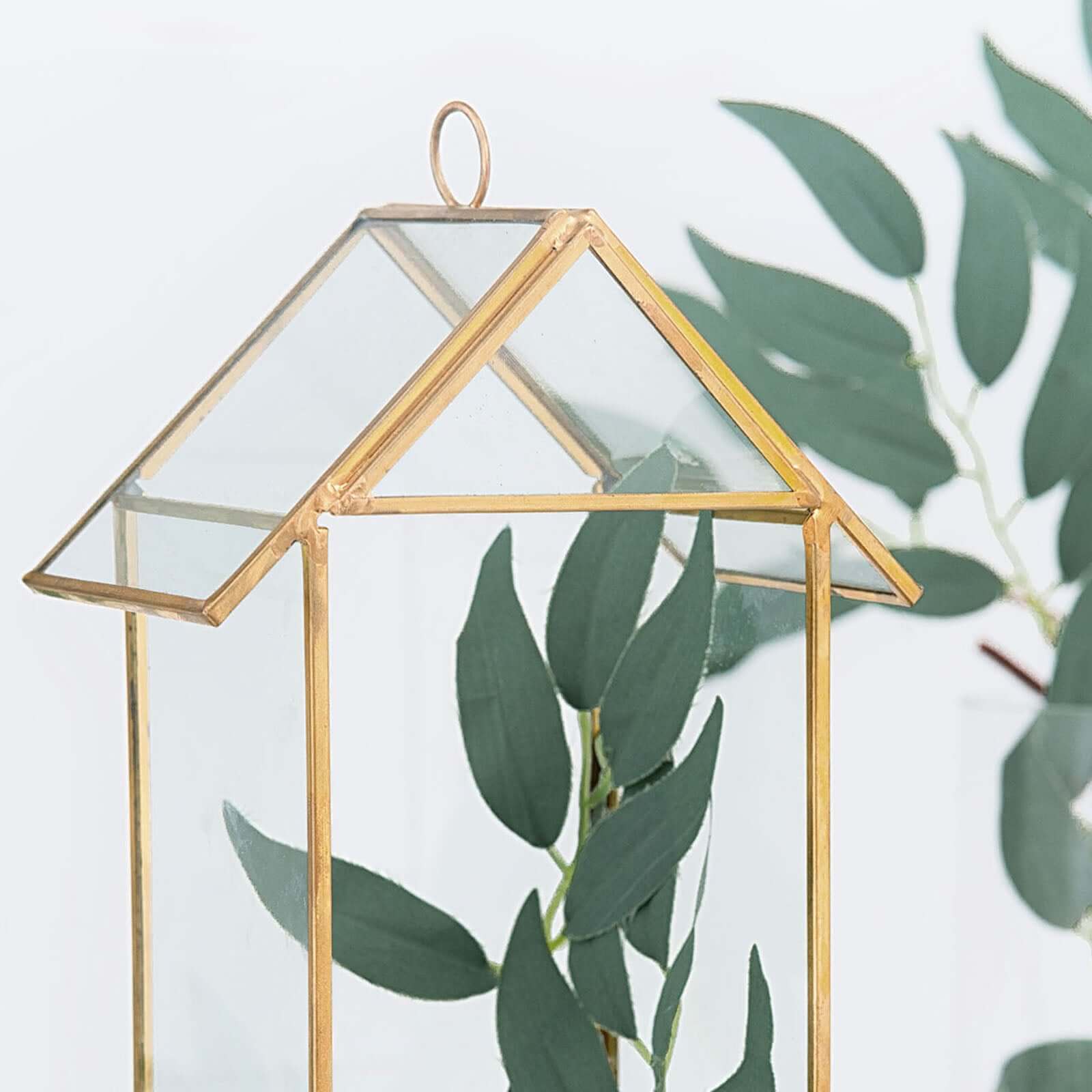 Versatile Gold Metal Frame Glass Hanging Terrarium for Air Plants and Displays