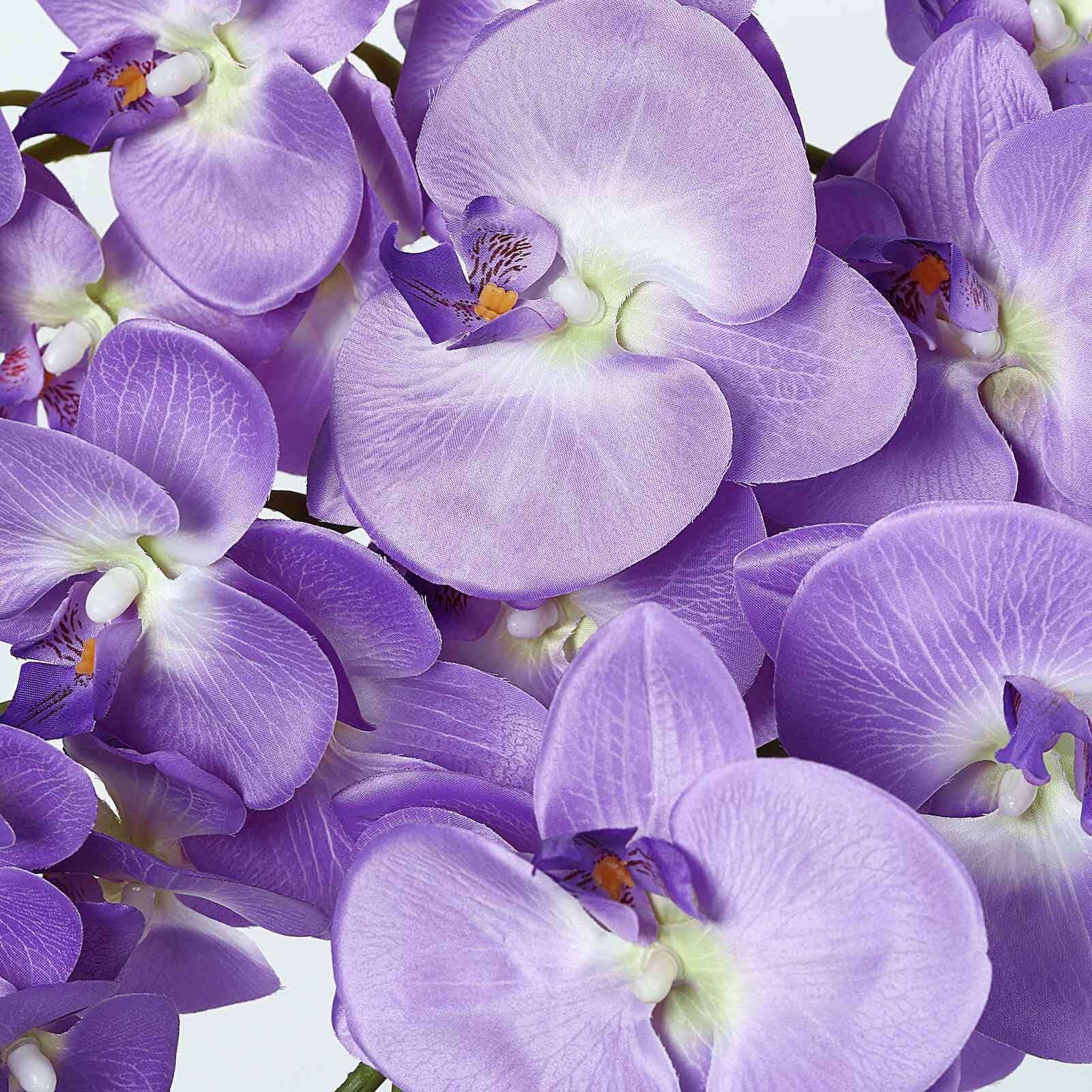 Hot! 2 Stems 40