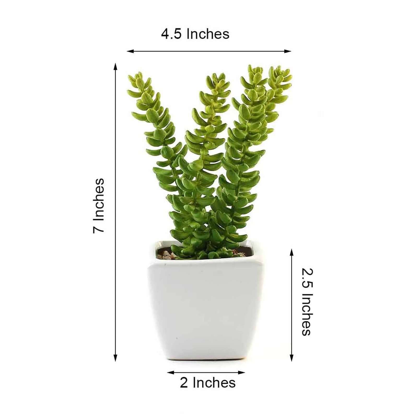3-Piece Set of Lifelike Sedum Artificial Succulents in Ceramic Pots for Home, Office & Events