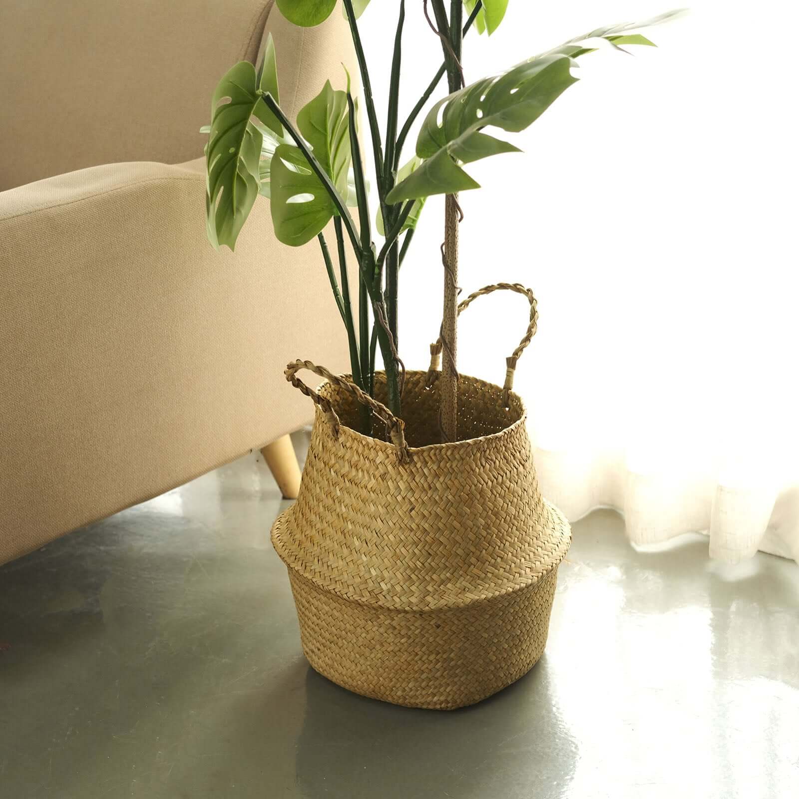 Exclusive Set of 2 Natural Handwoven Seagrass Plant Baskets for Home Organization