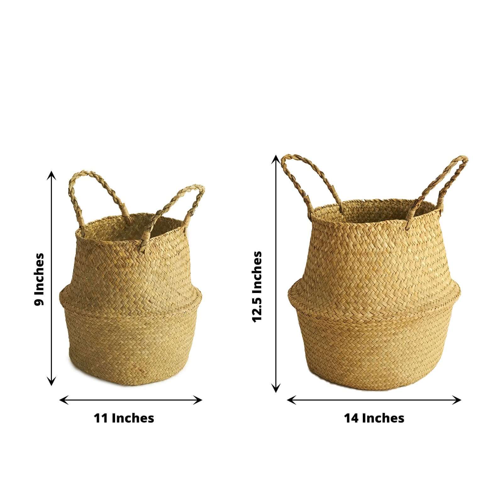 Exclusive Set of 2 Natural Handwoven Seagrass Plant Baskets for Home Organization