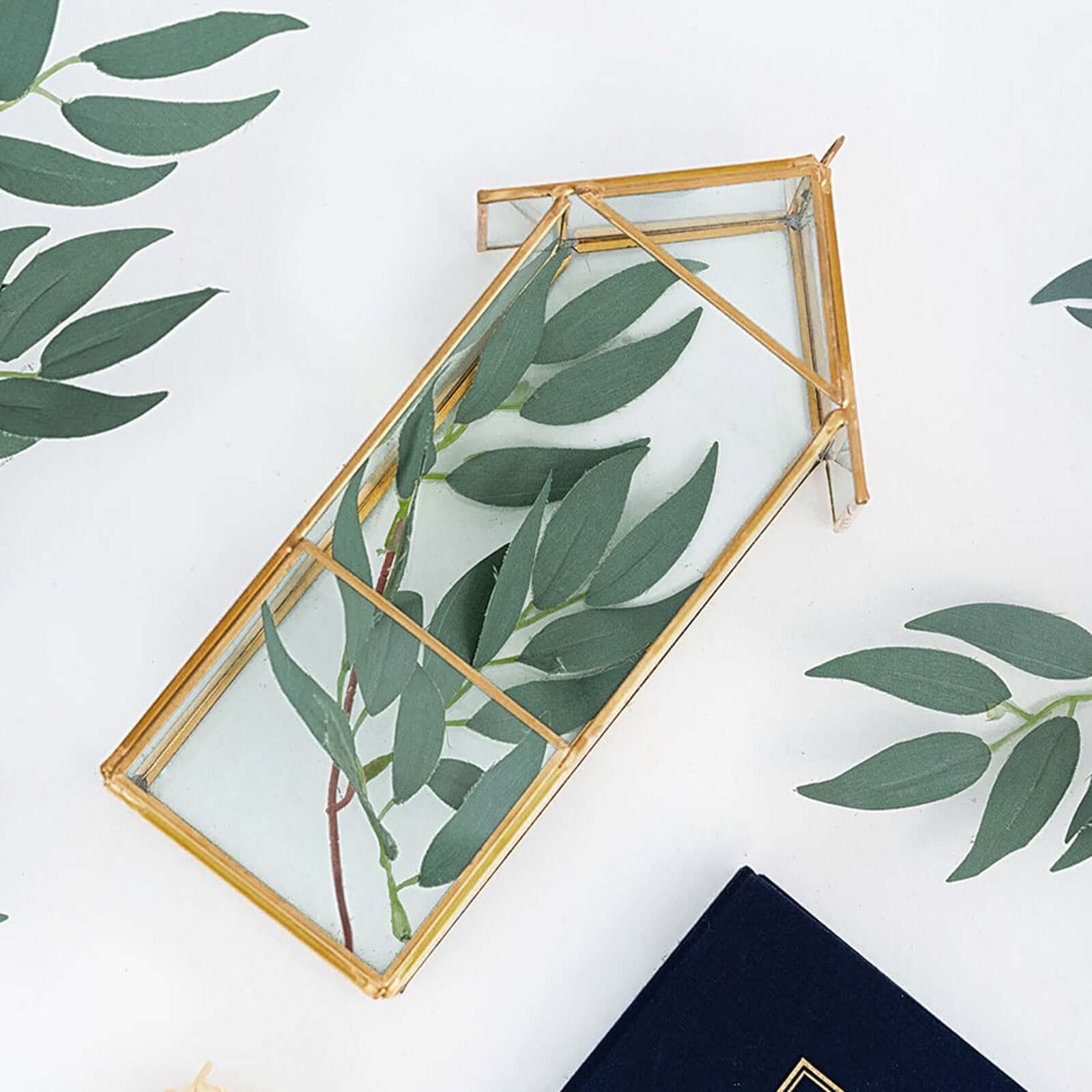 Versatile Gold Metal Frame Glass Hanging Terrarium for Air Plants and Displays