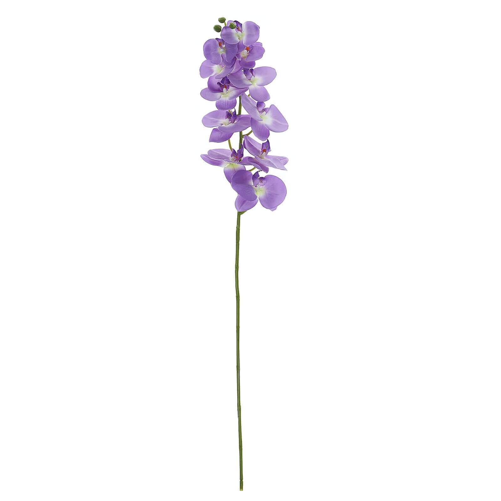 Hot! 2 Stems 40