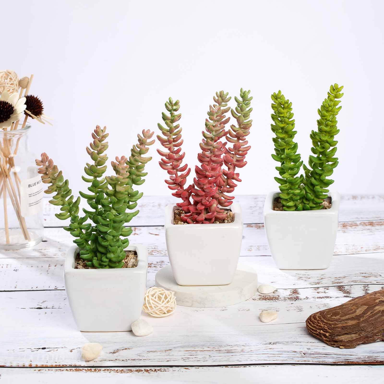 3-Piece Set of Lifelike Sedum Artificial Succulents in Ceramic Pots for Home, Office & Events