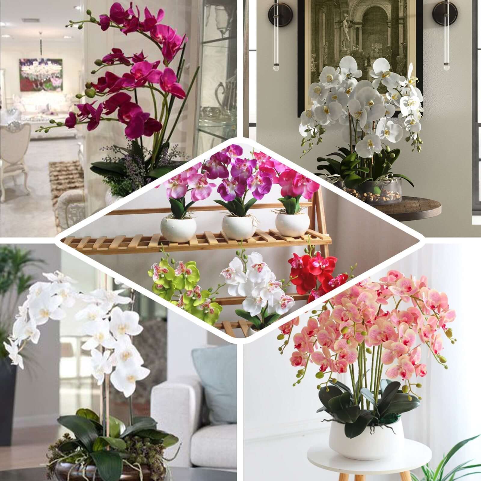 Hot! 2 Stems 40