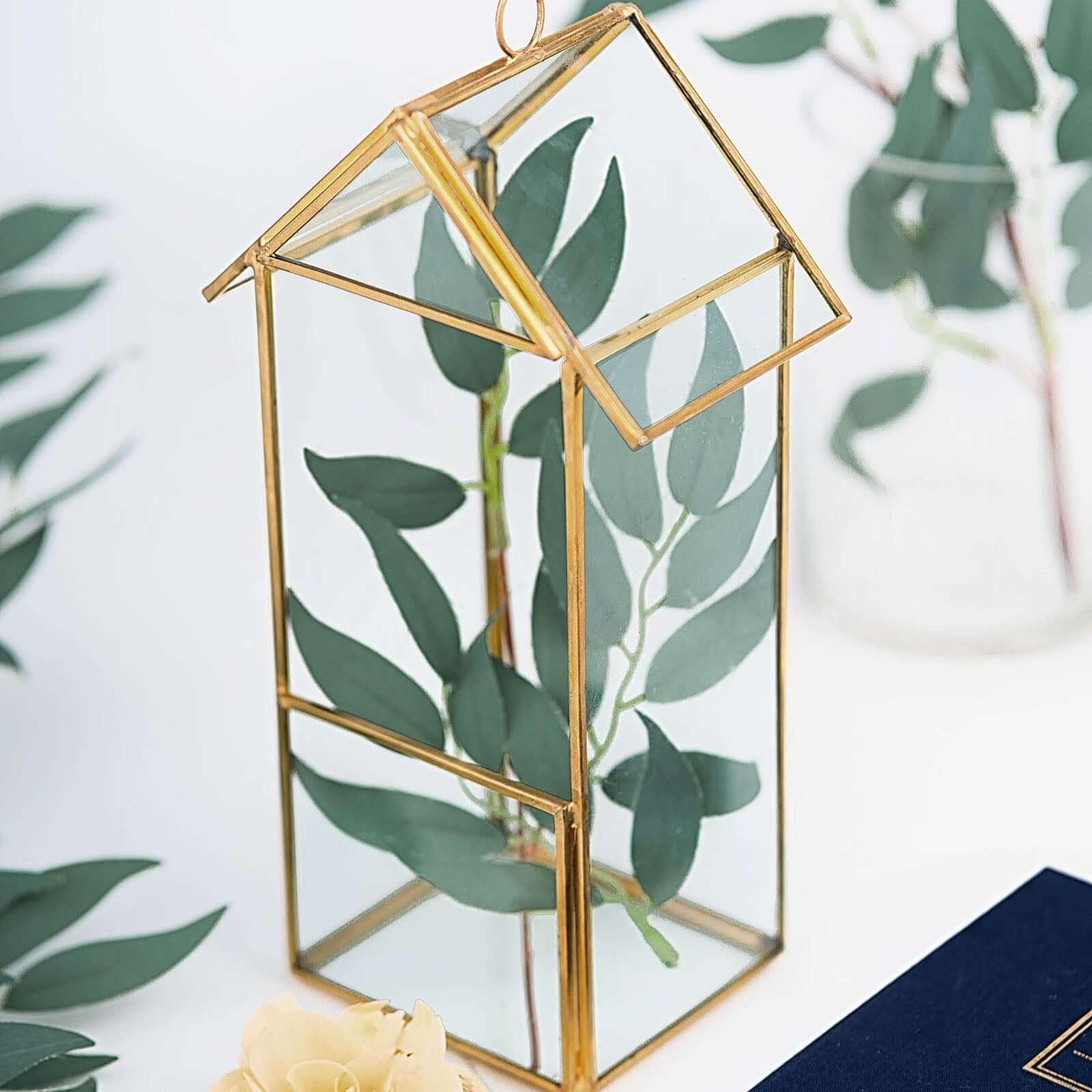 Versatile Gold Metal Frame Glass Hanging Terrarium for Air Plants and Displays